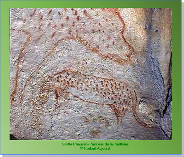 Bouquet,Grotte Chauvet- Panthre - Site