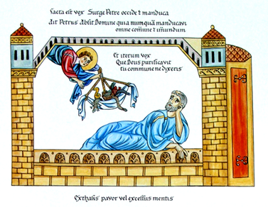 186 V 246 - II-61 CIMG9479 r