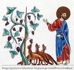 225 R 309 - III-80-81 CIMG9428 r