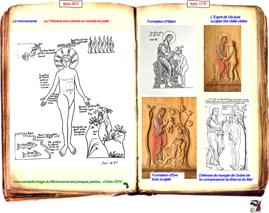 modele Hortus vide red 2 page 20,Ange Hortus Christen -Titre III CIMG9517 r copie