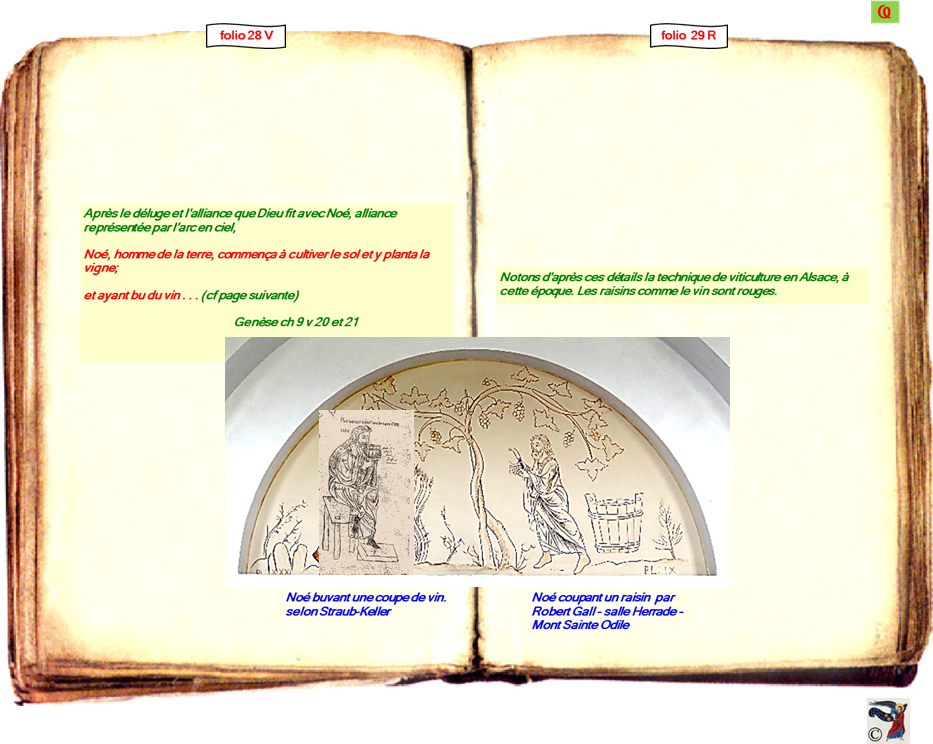 modele Hortus vide red 2 page 30,Ange Hortus Christen -Titre III CIMG9517 r copie