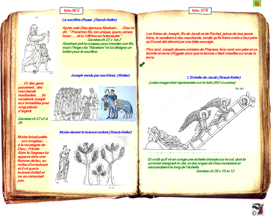 modele Hortus vide red 2 page centre,Ange Hortus Christen -Titre III CIMG9517 r copie