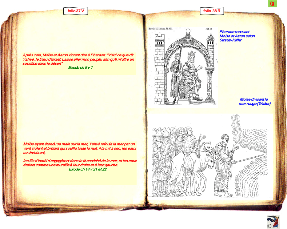 modele Hortus vide red 2 page centre,Ange Hortus Christen -Titre III CIMG9517 r copie