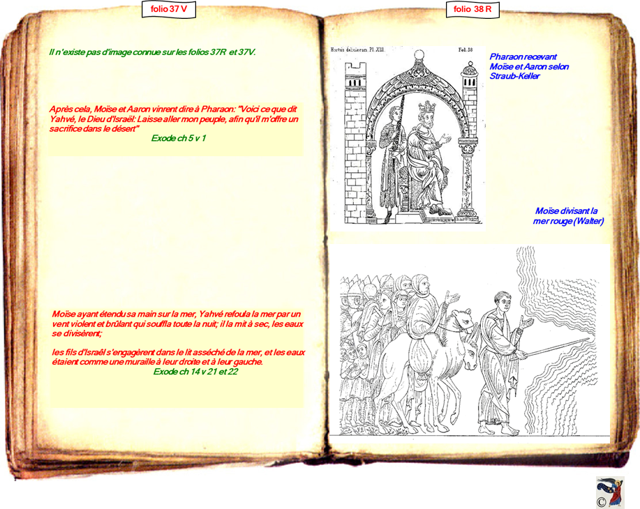 modele Hortus vide red 2 page centre,Ange Hortus Christen -Titre III CIMG9517 r copie