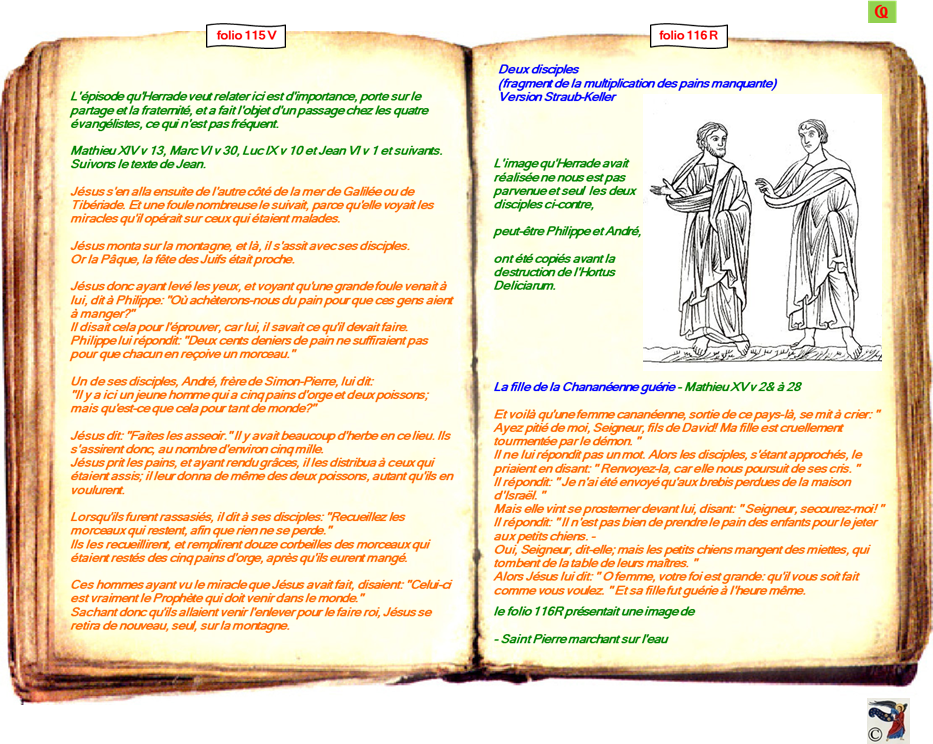 modele Hortus vide red 2 page centre,Ange Hortus Christen -Titre III CIMG9517 r copie