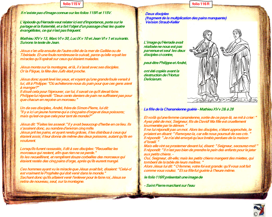 modele Hortus vide red 2 page centre,Ange Hortus Christen -Titre III CIMG9517 r copie