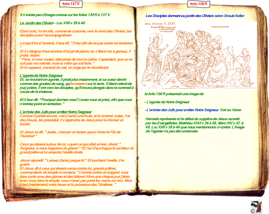 modele Hortus vide red 2 page centre,Ange Hortus Christen -Titre III CIMG9517 r copie