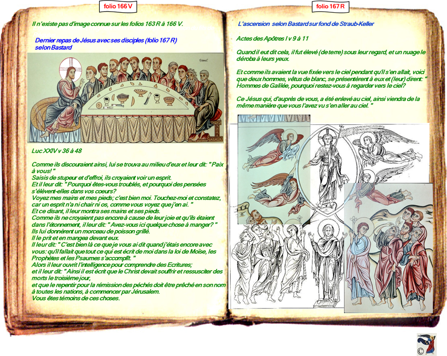 modele Hortus vide red 2 page centre,Ange Hortus Christen -Titre III CIMG9517 r copie