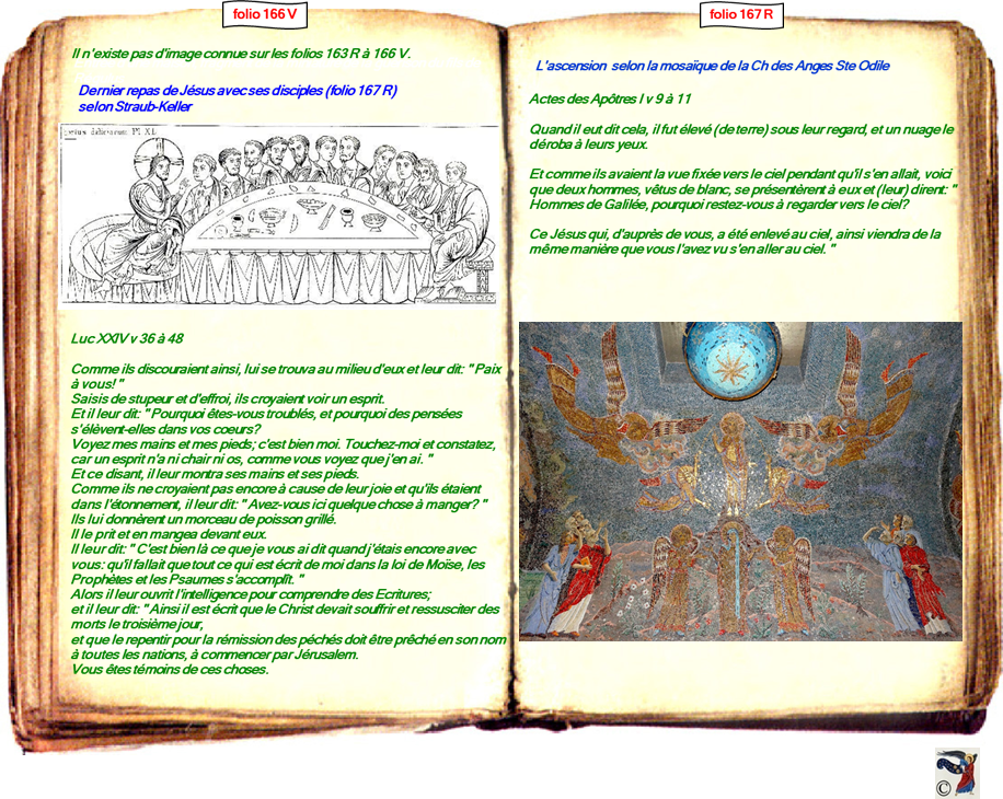 modele Hortus vide red 2 page centre,Ange Hortus Christen -Titre III CIMG9517 r copie
