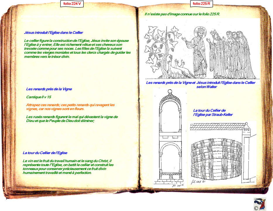 modele Hortus vide red 2 page centre,Ange Hortus Christen -Titre III CIMG9517 r copie