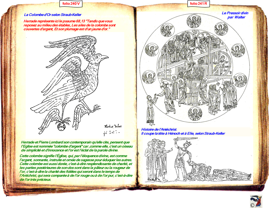 modele Hortus vide red 2 page centre,Ange Hortus Christen -Titre III CIMG9517 r copie