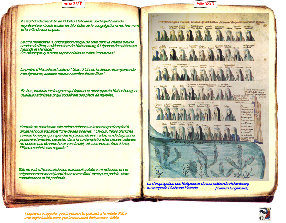 modele Hortus vide red 2 page fin,Ange Hortus Christen -Titre III CIMG9517 r copie,Tab 12 red