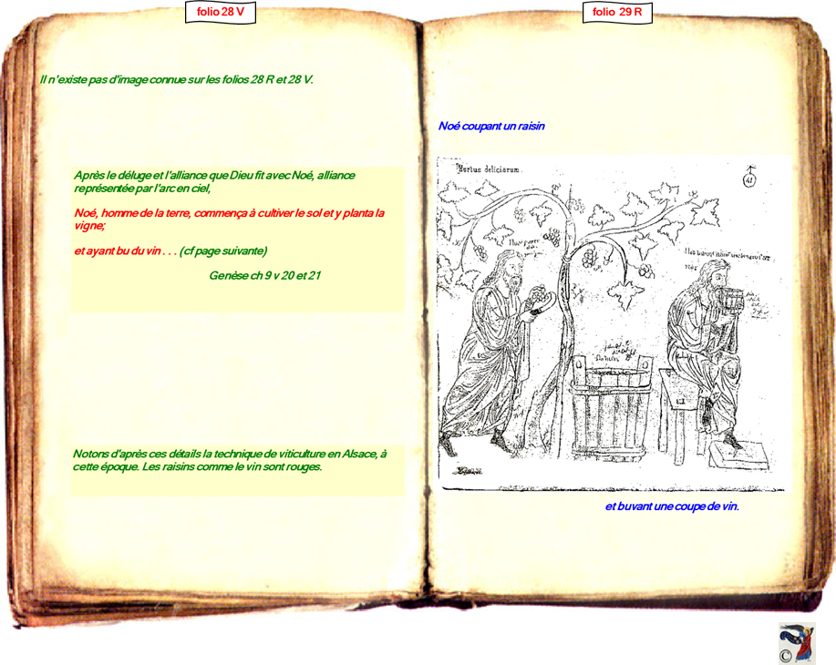 modele Hortus vide red 2 page 30,Ange Hortus Christen -Titre III CIMG9517 r copie