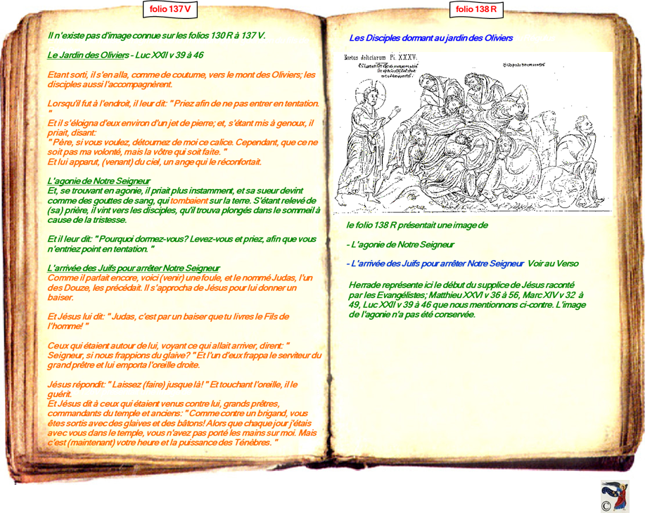 modele Hortus vide red 2 page centre,Ange Hortus Christen -Titre III CIMG9517 r copie