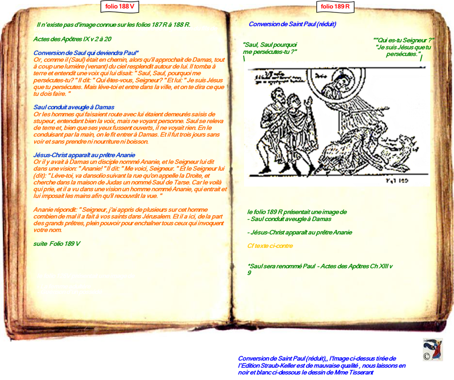 modele Hortus vide red 2 page centre,Ange Hortus Christen -Titre III CIMG9517 r copie