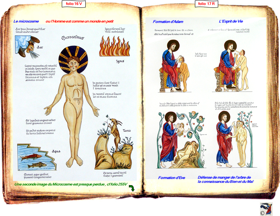 modele Hortus vide red 2 page 20,Ange Hortus Christen -Titre III CIMG9517 r copie,16 V 14 - I-8 CIMG9490 r,17 R 1518 - I-5-7 CIMG9487 r