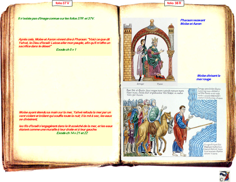 modele Hortus vide red 2 page centre,Ange Hortus Christen -Titre III CIMG9517 r copie,38 R 54 - I-18 CIMG9500 r,38 R 53 - I-24 CIMG9506 r