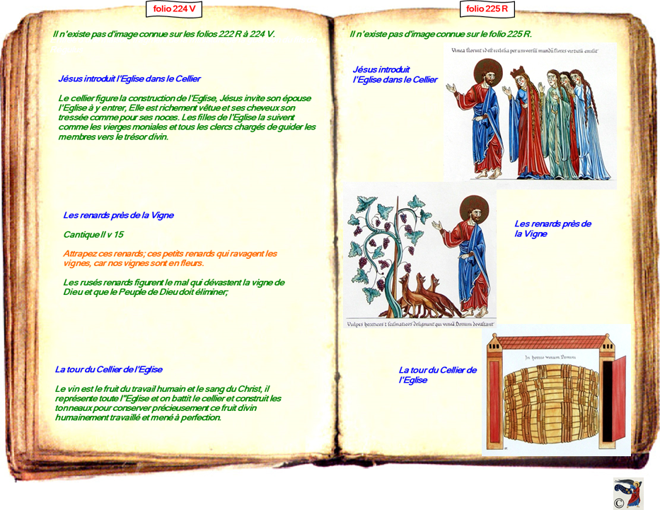 modele Hortus vide red 2 page centre,Ange Hortus Christen -Titre III CIMG9517 r copie,225 R 307 - III-80-81 CIMG9428 r,225 R 308 - II-63 CIMG9481 r,225 R 309 - III-80-81 CIMG9428 r