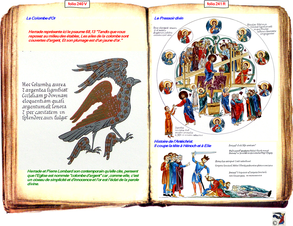 modele Hortus vide red 2 page centre,Ange Hortus Christen -Titre III CIMG9517 r copie,240 V 319 - III-77CIMG9424 r,241 R 321 - III-84-86 CIMG9431 r,241 R 320 - III-83 CIMG9430 r